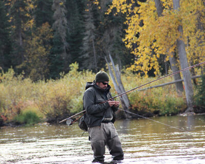 Still 4