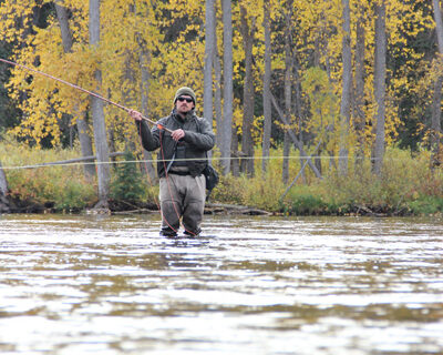 Still 5