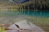 Still 36